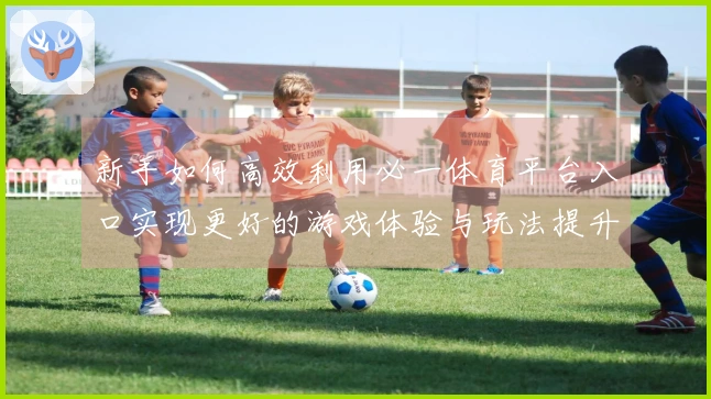新手如何高效利用必一体育平台入口实现更好的游戏体验与玩法提升